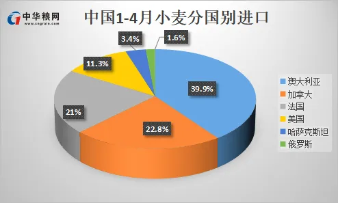 跨境数字贸易平台
